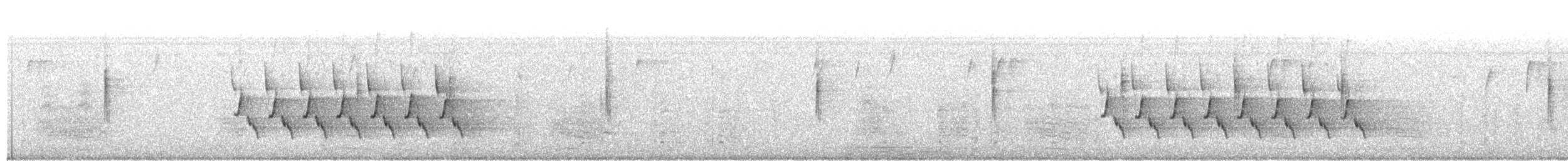 Поплітник каролінський - ML38980761