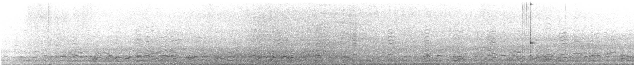 Cackling Goose - ML389899111