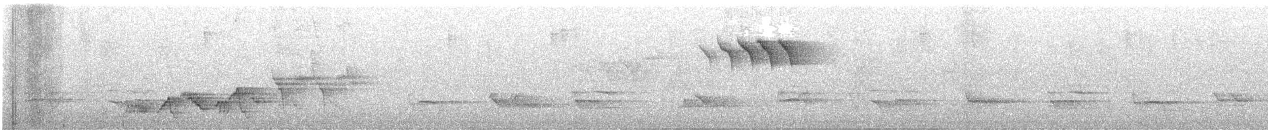 Swainson's Thrush - ML389982331