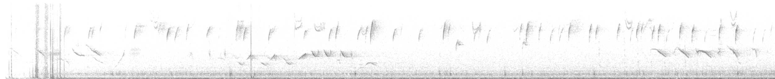 ゴマフスズメ - ML389998971