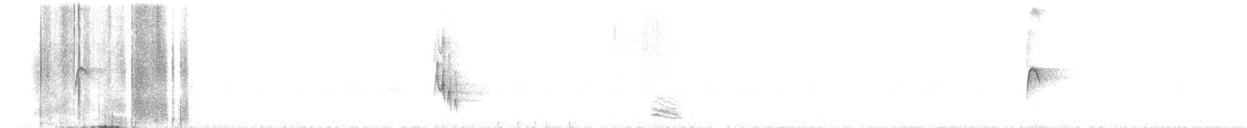 アオマネシツグミ - ML390001001