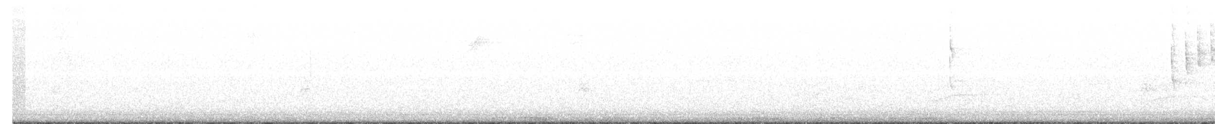 ウタスズメ（rufina グループ） - ML390014011