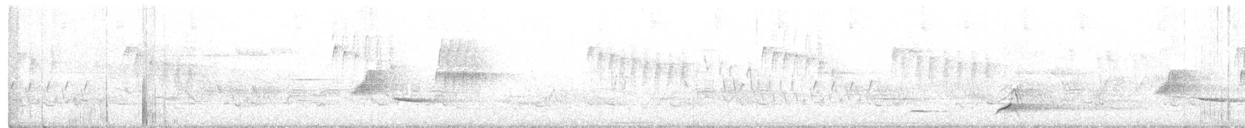 Northern Bobwhite - ML390024181