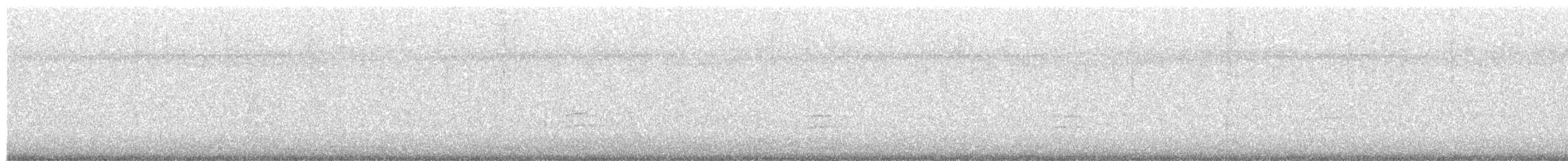australsivhøne - ML390058381