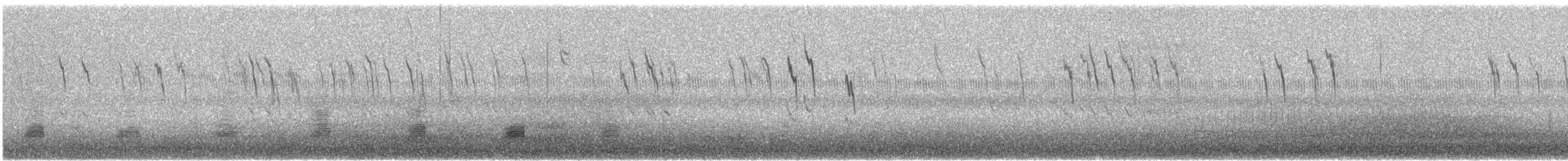 American Pipit - ML390163111