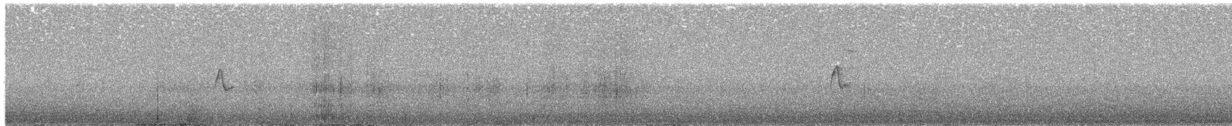 Zilpzalp - ML39017341