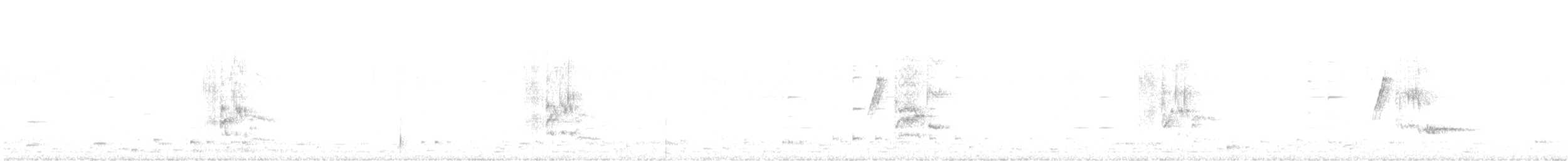 ťuhýk šedý [skupina elegans] - ML390360811
