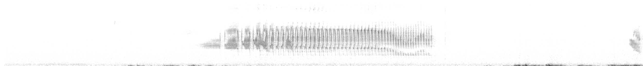 Canastero Flamulado - ML390408361