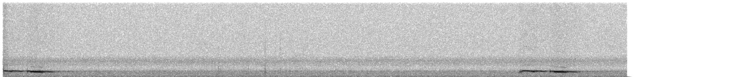 Ninoxe de Tasmanie - ML391014301