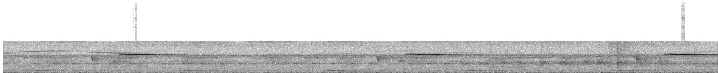 Матинера широкоброва - ML391052761