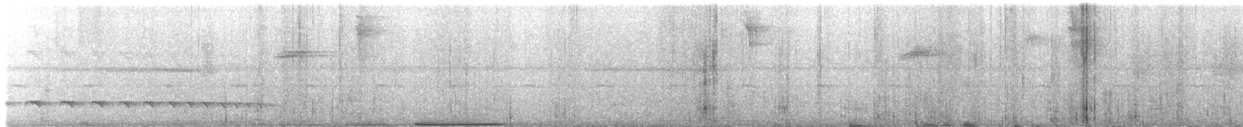 Streifenkopf-Ameisenvogel - ML391060721