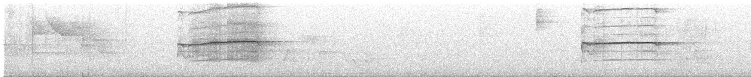 Ширококрылый канюк [группа antillarum] - ML391125281