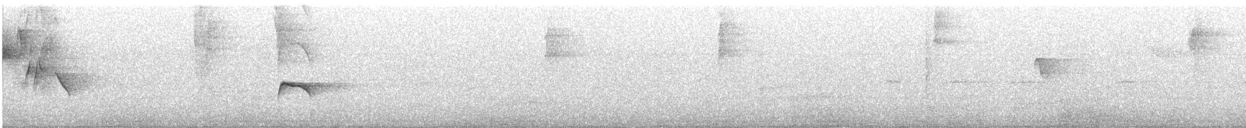 Антильский пиви (latirostris) - ML391125381