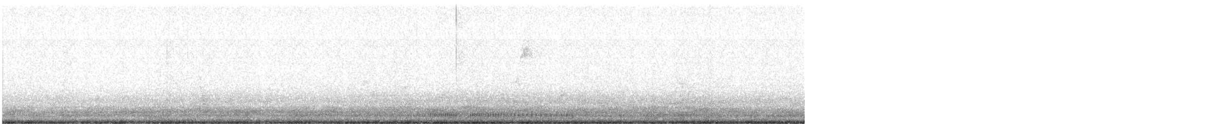 morčák chocholatý - ML391136211