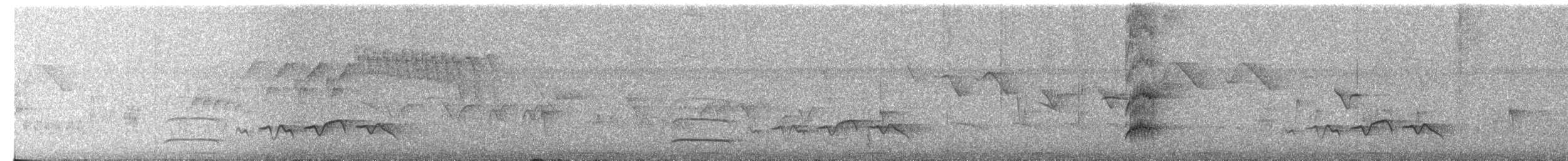 Swainsonschopftyrann - ML39124071