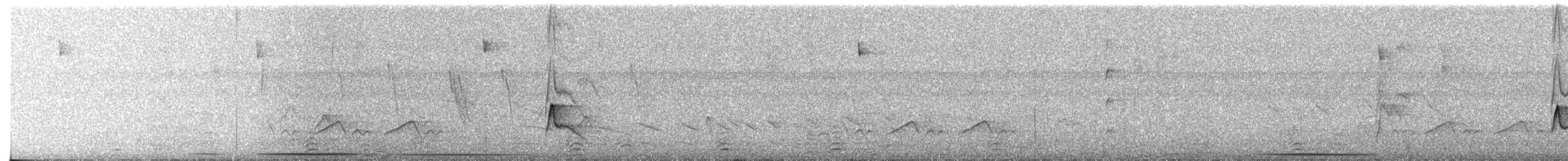 Dreibinden-Olivtyrann - ML39124321