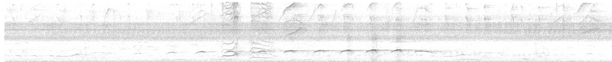 riflingspett (grammicus gr.) - ML391248481