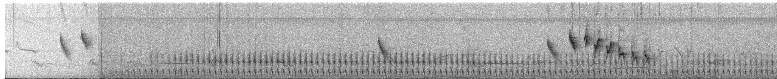 Weißbrustralle - ML39125011