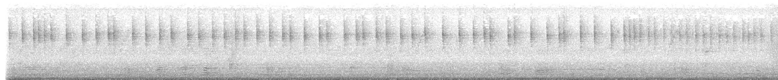 Rostbauch-Mistelfresser - ML391271261