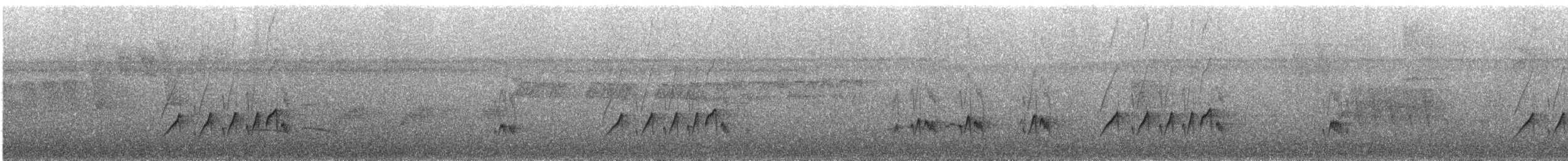 Тиран-крихітка темноголовий - ML391319211