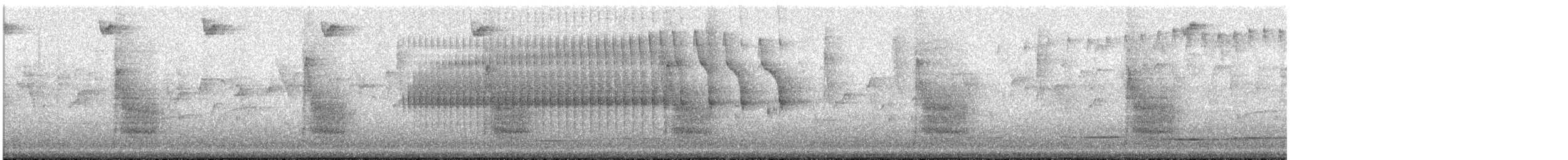 Pseudocolapte de Boissonneau - ML391340791