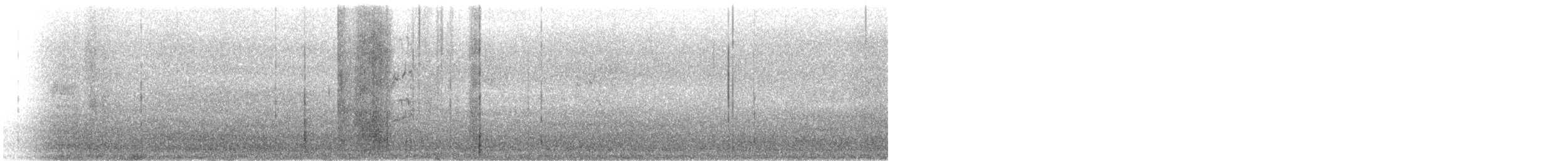 Austral-Schlangenhalsvogel - ML391526701