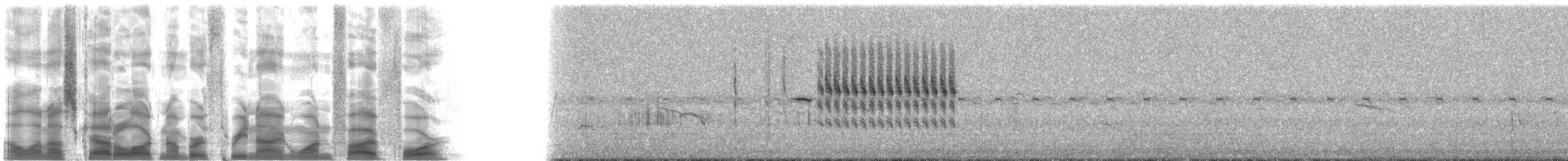 Травяной крапивник (platensis/polyglottus) - ML39154