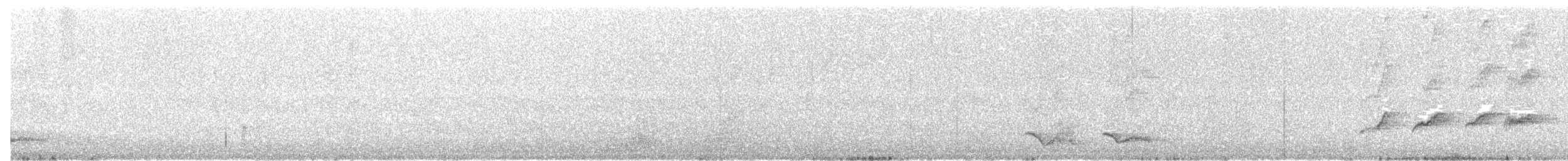 lyrochvost nádherný - ML39163481