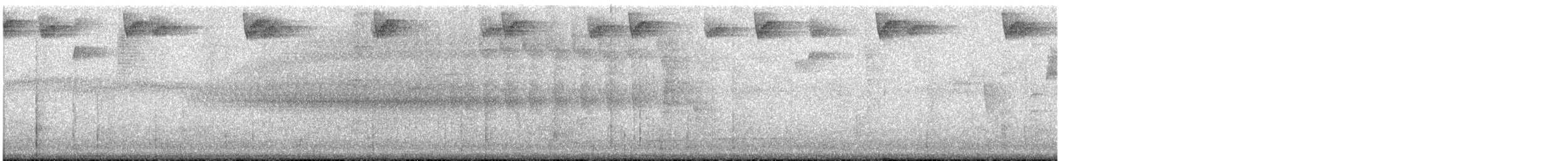 Pseudocolapte de Boissonneau - ML391672841