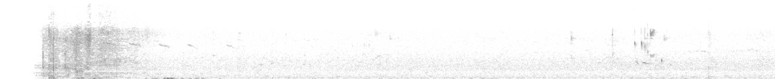 Weißflanken-Dunkeltyrann - ML391776711