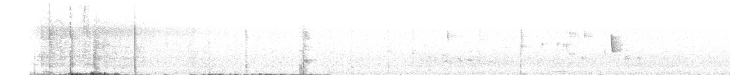 Weißflanken-Dunkeltyrann - ML391776721