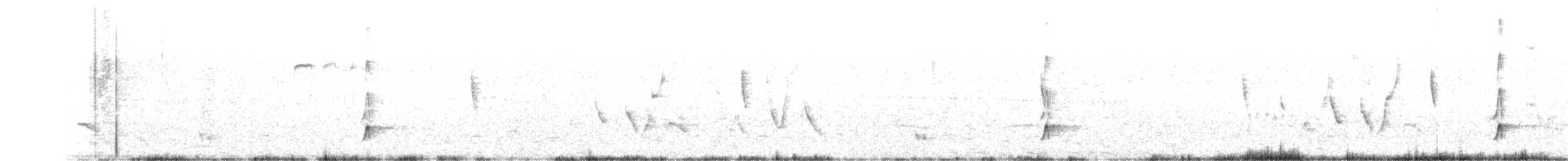 Copetón Tiranillo - ML391780031