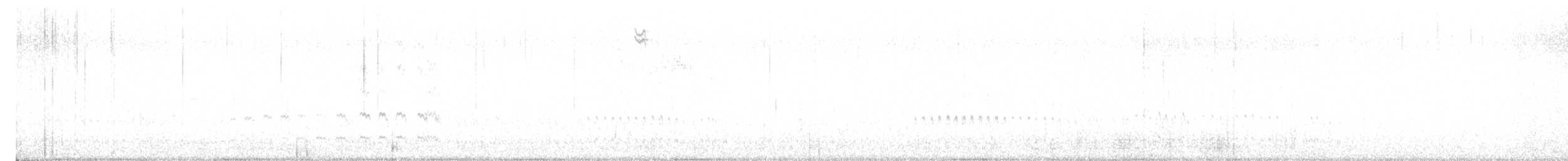 Black Turnstone - ML391857131