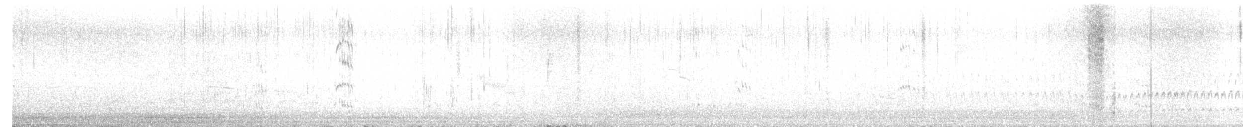 Black Turnstone - ML391857261