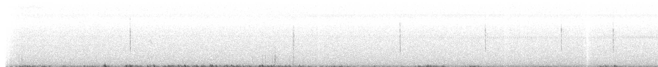 オジロヒメドリ - ML391995261