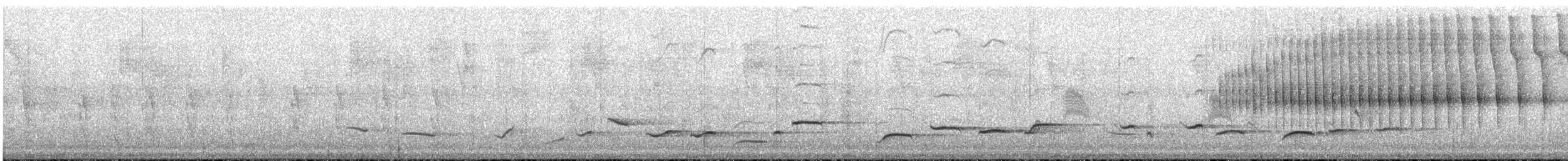 Pseudocolapte de Boissonneau - ML392009881