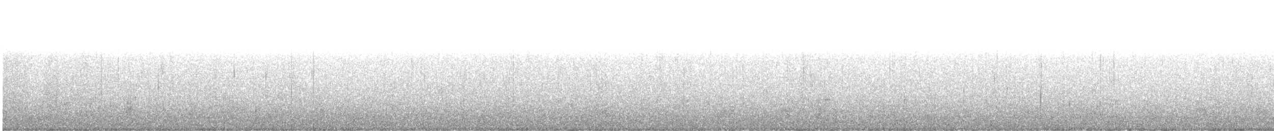 kachna divoká - ML392206881