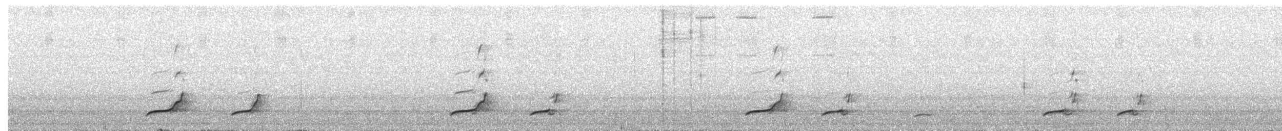 Tinamou élégant - ML392235531