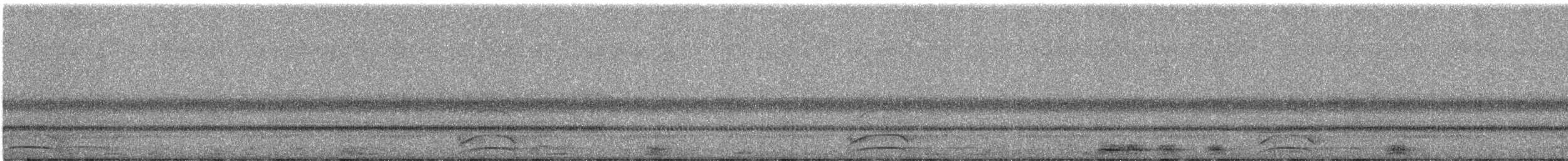 Whiskered Screech-Owl - ML392309701