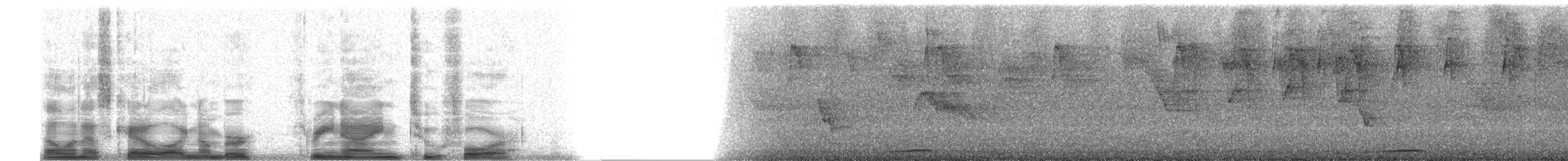 Common Ground Dove - ML3924