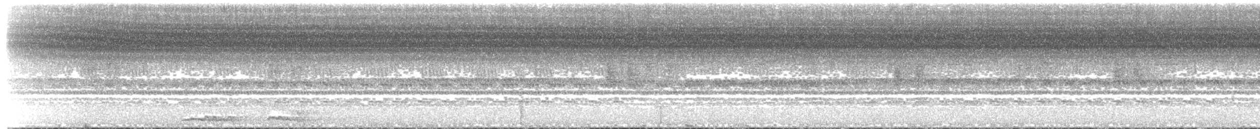 Black-capped Screech-Owl - ML392431181