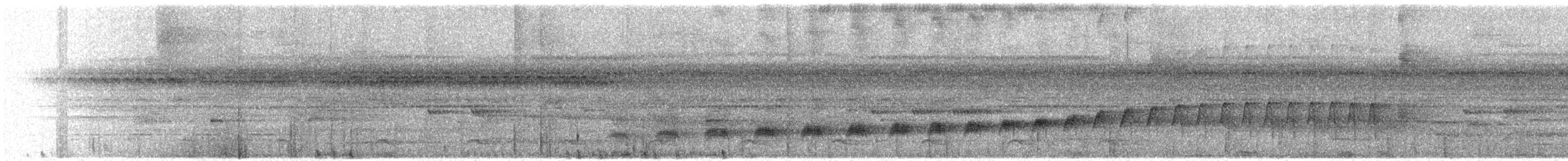 Bauchflecken-Ameisenvogel - ML392543221