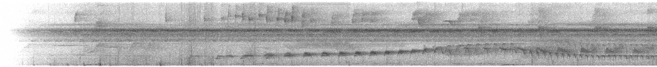 Bauchflecken-Ameisenvogel - ML392546151