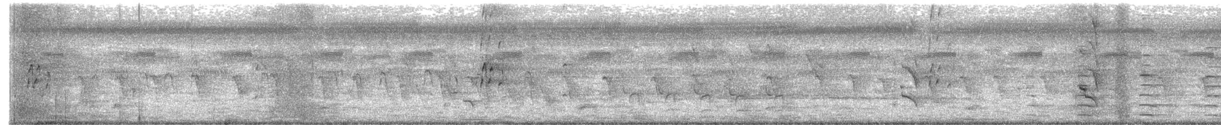 Малый пегий зимородок - ML392667811