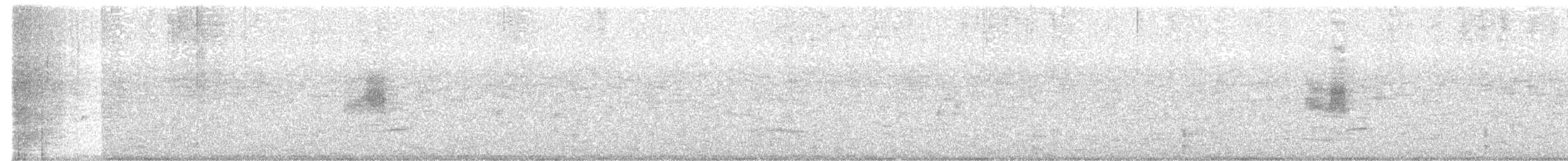 Koromandelrennvogel - ML392668261