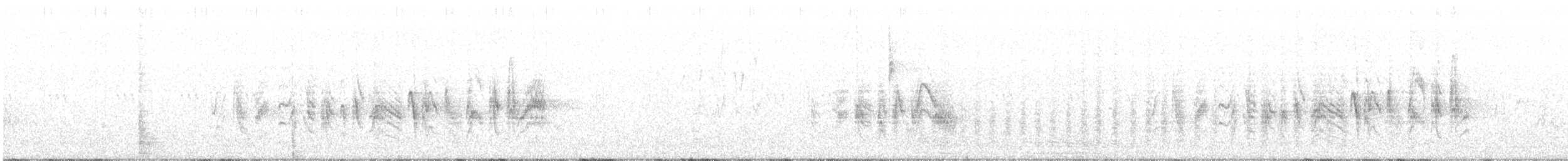 Віреон короткокрилий (підвид arizonae) - ML392738391