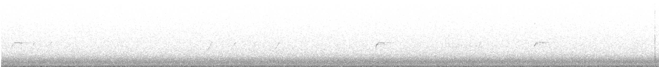 budníček menší (ssp. tristis) - ML392757211