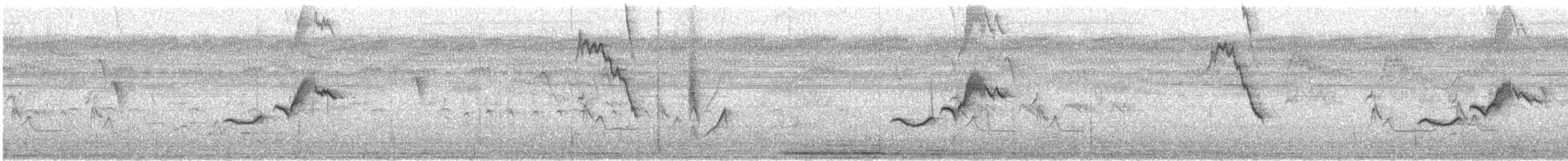 クロヒタキ - ML392791031