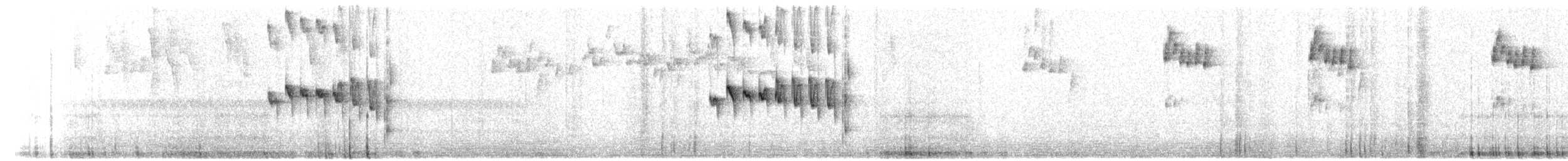 marcapatastifthale (weskei) - ML392841541