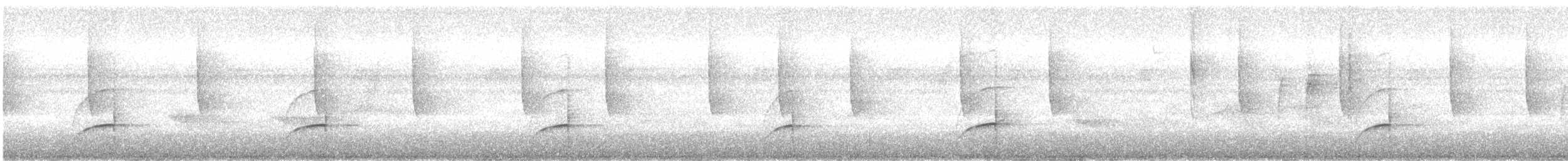 Bluish-fronted Jacamar - ML392883321